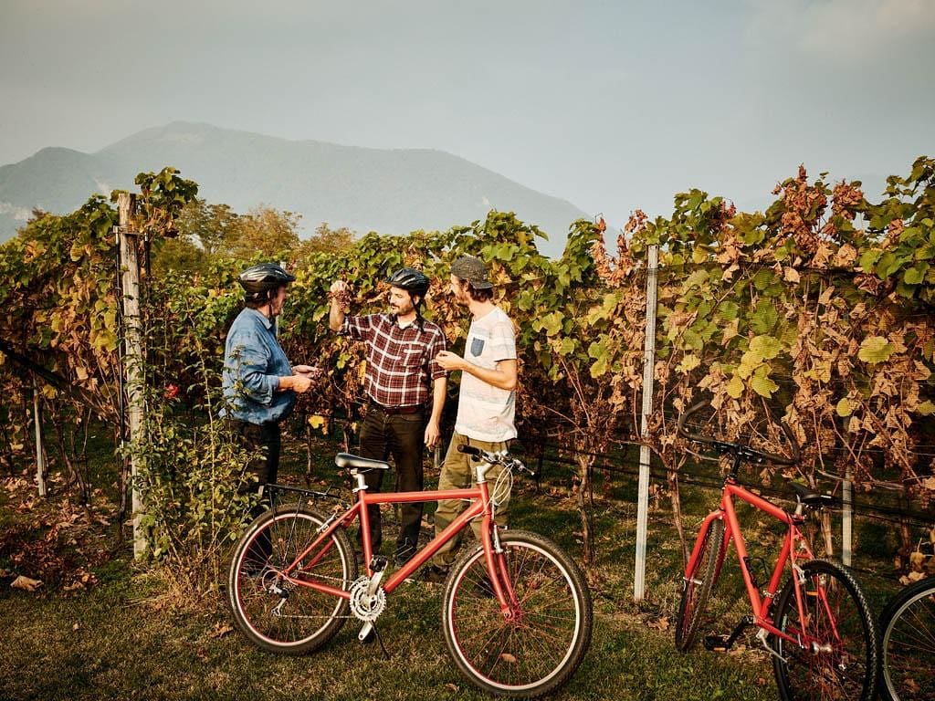 bicicletta pedala Mendrisio