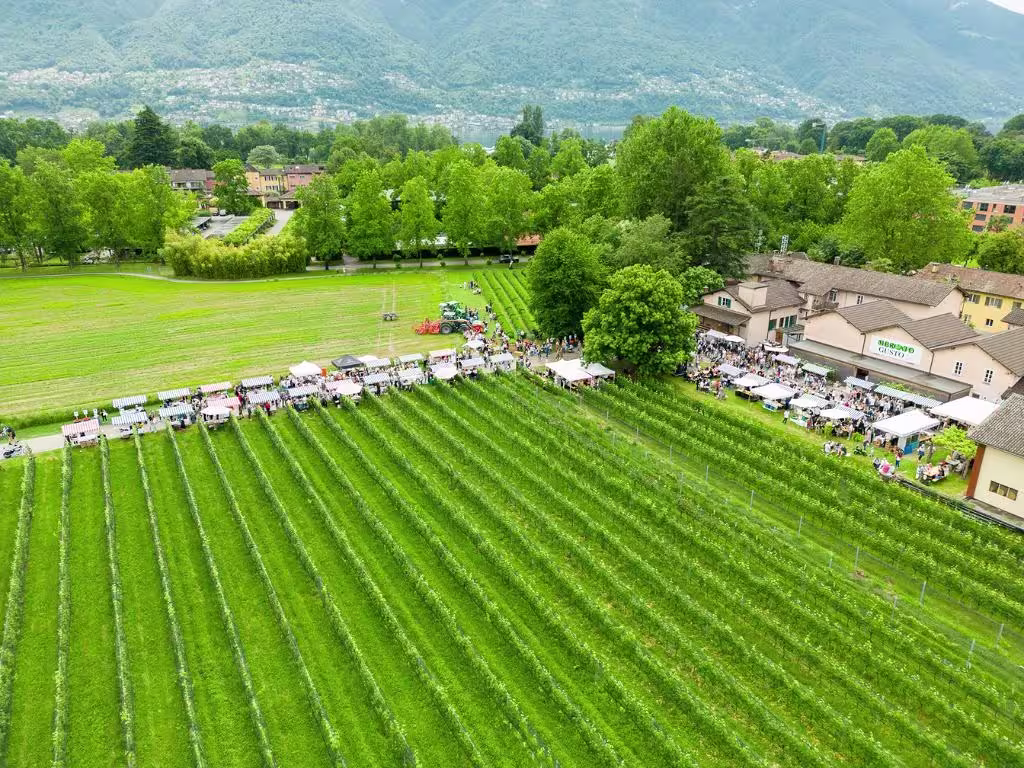 Mercato del gusto Ascona